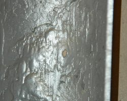 Black Steel 10 year old 2.5 inch main (After) Copy